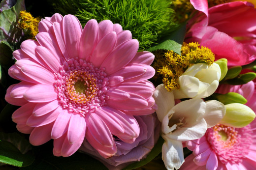 823875 (a): :2500x1660